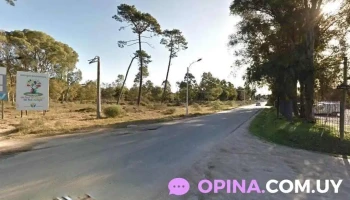 Caterina Bordoli Negocios Inmobiliarios y Rurales - Ciudad De La Costa Caterina Bordoli Negocios Inmobiliarios y Rurales - Ciudad De La Costa