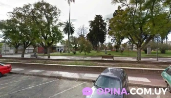 Catlandia - 37000 Melo Catlandia - 37000 Melo