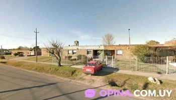 Ceibo - 15900 La Paz