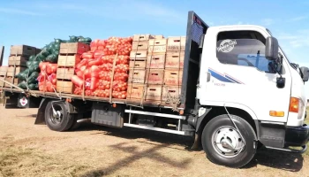 Central Fruticola del Norte - Casa Dragone - 60000 Paysandú Central Fruticola del Norte - Casa Dragone - 60000 Paysandú