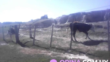 Centro Mec Noblía - Isidoro Noblía Centro Mec Noblía - Isidoro Noblía