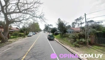 Centro Veterinario de Maldonado - Av. Martiniano Chiossi