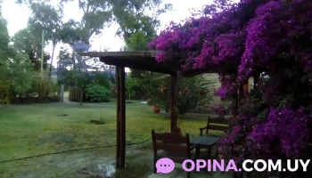 Cepia (Centro Psicopedagógico Integral de Atlántida) - 15200 Atlántida Cepia (Centro Psicopedagógico Integral de Atlántida) - 15200 Atlántida