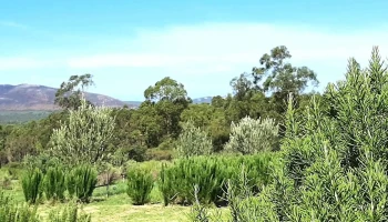 Chacra erbabuona - Piriápolis