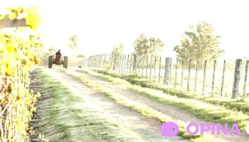 Chacra La Anyta - Pan De Azúcar Chacra La Anyta - Pan De Azúcar