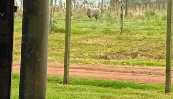 Chacra La Franciscana - Departamento De Maldonado Chacra La Franciscana - Departamento De Maldonado