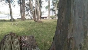 Chacra lo Raquel - Vergara