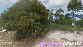 Cielo Tierra - La Floresta Cielo Tierra - La Floresta