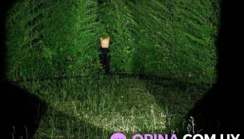 Cine - Fotografía. - 11300 Montevideo Cine - Fotografía. - 11300 Montevideo