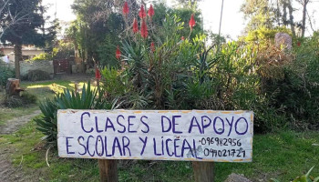 Clases de apoyo Escolar y Liceal Personalizadas - Montevideo Clases de apoyo Escolar y Liceal Personalizadas - Montevideo
