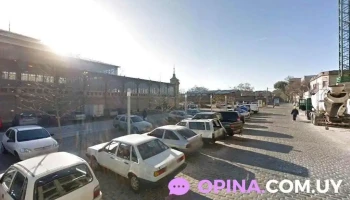 Clases particulares, maestra particular, apoyo escolar. - Montevideo