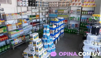 Clee limpieza Mercedes - 75000 Mercedes Clee limpieza Mercedes - 75000 Mercedes