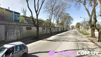 Clínica equina La caballada - 12000 Montevideo Clínica equina La caballada - 12000 Montevideo