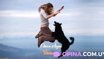 Clínica Veterinaria Aiguá - Belen