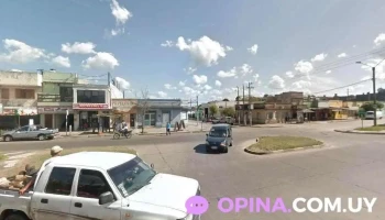 Clínica Veterinaria Dra. Cecilia Ojeda - 40000 Rivera Clínica Veterinaria Dra. Cecilia Ojeda - 40000 Rivera