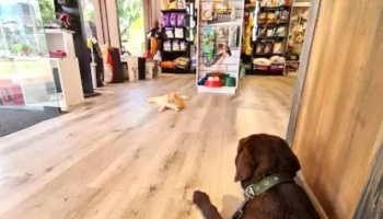 Clínica Veterinaria La Pastora - 20100 Punta Del Este