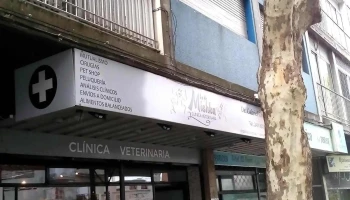Clinica Veterinaria Lo de Mishka - 11200 Montevideo Clinica Veterinaria Lo de Mishka - 11200 Montevideo