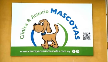 Clínica y Acuario de Mascotas - 45000 Tacuarembó Clínica y Acuario de Mascotas - 45000 Tacuarembó