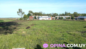 Club Atletico Colonia - Manuel Quintela Club Atletico Colonia - Manuel Quintela