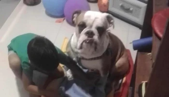 Colinas del Mirador - 18 De Mayo Colinas del Mirador - 18 De Mayo