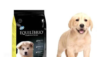 Comunidad Animal uy - 11200 Montevideo