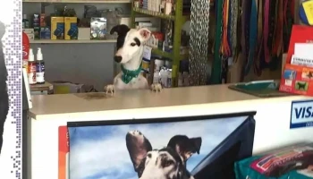 Consultorio Veterinario del Oeste - 12600 Montevideo Consultorio Veterinario del Oeste - 12600 Montevideo