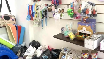 Consultorio veterinario Dra. Angelina Vilche - 30000 Minas