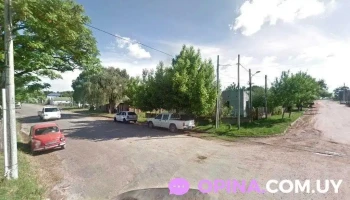 Cooperativa Covifauny - Young