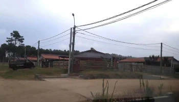 Coovilapa - La Paloma Coovilapa - La Paloma