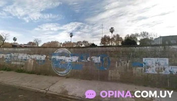 Cousa - 60000 Paysandú