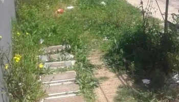 Covifun - Florida Covifun - Florida