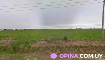 Coviuniliber - Libertad Coviuniliber - Libertad