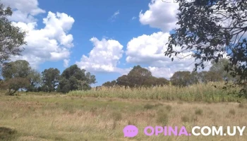 Crew Bienes Raices - Gral. Líber Seregni