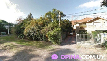 Cristina Ottonello - Montevideo Cristina Ottonello - Montevideo