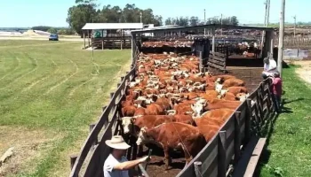 Cuarentena Cardal Ltda. - Unnamed Road Cuarentena Cardal Ltda. - Unnamed Road