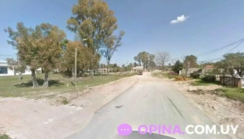 De Armas Antigüedad - C. F De Armas Antigüedad - C. F