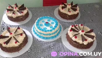 Delicias Martin - 33000