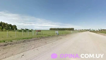 Desarmadero Agoropartes Ombues - Departamento De Colonia