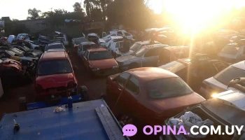 Desarmadero Camino Las Piedritas - 15600 Pando