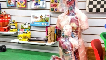 DeTodo.com.uy - Isla De Gorriti Esq