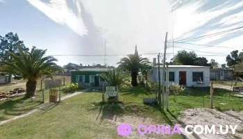 Diablo Barber - Playa Pascual