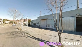 Distribuidora - Blodwen sa - Chiávari