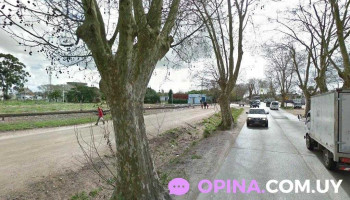 Distribuidora Don Pepe - 13000 Montevideo