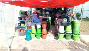 Distribuidora la milagrosa - 50000 Salto Distribuidora la milagrosa - 50000 Salto