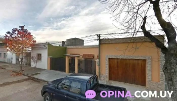 Distribuidora los papus :v - 97000 Durazno