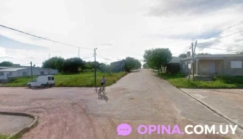 Distribuidora Nicolás y Santiago - 31100 Vergara