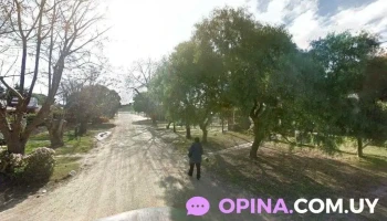 Distribuidora Pablo Agoglia hnos - 15000 Ciudad De La Costa