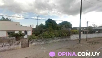 Distribuidora Roda - 70100 Carmelo