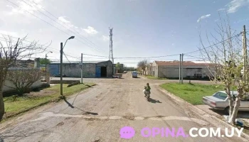 Distribuidora Roma - 45100 Paso De Los Toros Distribuidora Roma - 45100 Paso De Los Toros