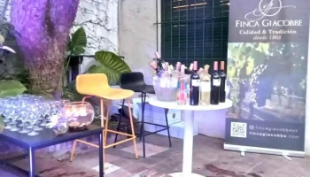 Distribuidora Súper Campeones - 11500 Montevideo Distribuidora Súper Campeones - 11500 Montevideo